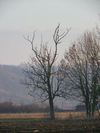 Première balade de 2011… 41