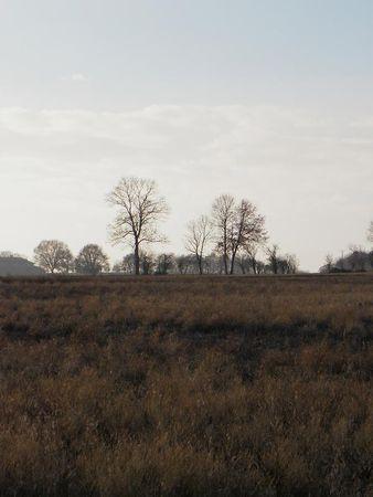 Première balade de 2011… 15