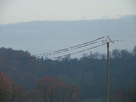 Première balade de 2011… 59