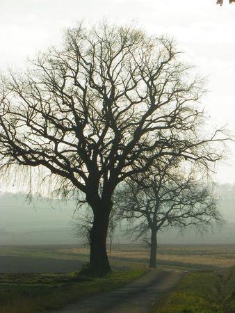 Première balade de 2011… 12