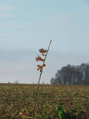 Première balade de 2011… 10