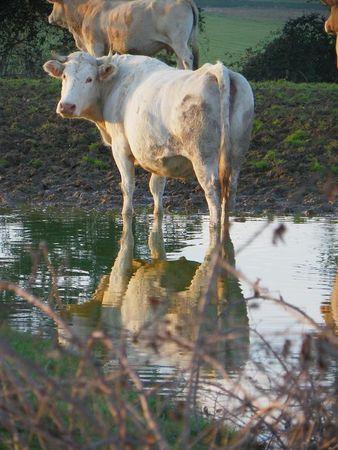 Première balade de 2011… 45