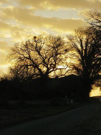 Première balade de 2011… 55