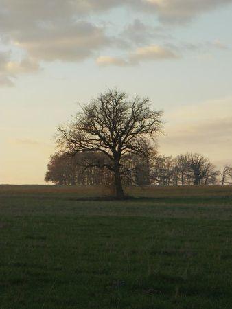 Première balade de 2011… 54