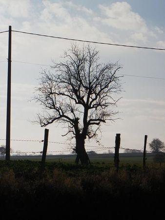 Première balade de 2011… 1