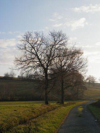 Première balade de 2011… 26