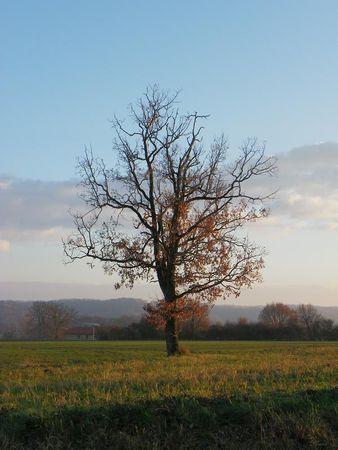 Première balade de 2011… 49