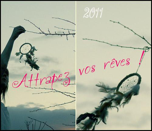 Attrappereve