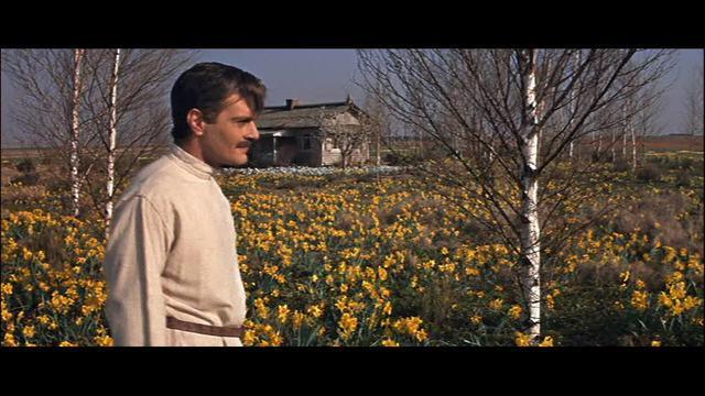 Docteur Jivago - Doctor Zhivago, David Lean (1965)