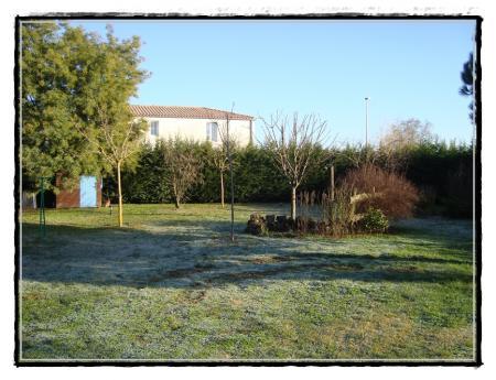 25 décembre 2010, cadeau de Noël pour les oiseaux... 25 décembre 2010, cadeau de Noël pour les oiseaux...