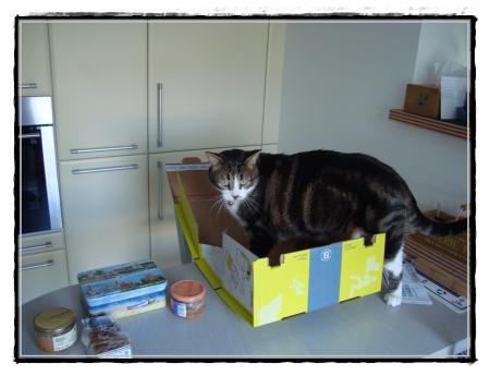 2011, Pirate continue de voyager.... 2011, Pirate continue de voyager....