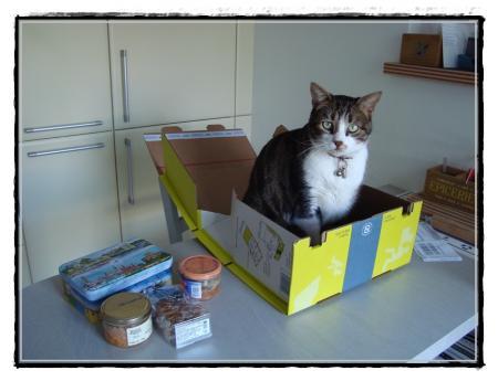 2011, Pirate continue de voyager.... 2011, Pirate continue de voyager....