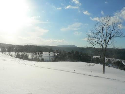 Ha'ouli Makahiki Hou Ha'ouli Makahiki Hou