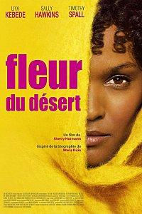 Fleur-du-desert-01.jpg