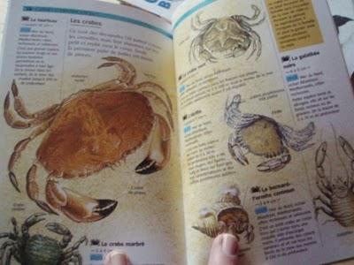 Carnets de nature Carnets de nature