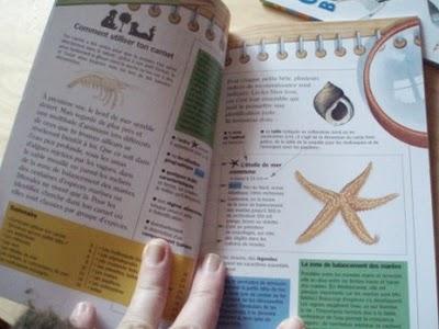 Carnets de nature Carnets de nature