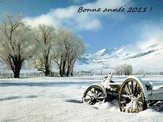 Bonne année 2011. Bonne année 2011.