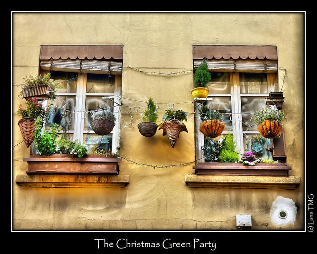 Vin Chaud Canadien : Place au Caribou ! http://farm6.static.flickr.com/5201/5293577196_cc60a27c37_z.jpg