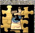 Chess puzzle spécial 
