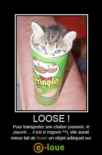 fail_chaton fail_chaton