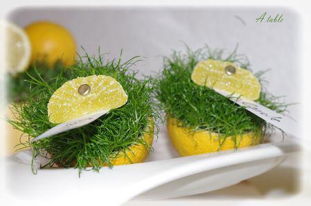 Quelques idées vitaminées.... agrumes_001_modifi__1