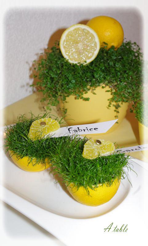 Quelques idées vitaminées.... agrumes_020_modifi__1