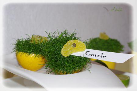 Quelques idées vitaminées.... agrumes_014_modifi__1