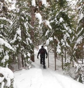 Parc National de la Mauricie Nouveau sentier de raquettes dans le Parc national de la Mauricie