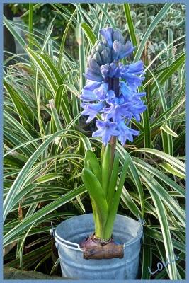 Une météo peu propice, un Une météo peu propice, un