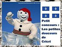 Délice à l’érable et sa neige gourmande : génoises vanillées, mousse au sirop d’érable, glaçage au sirop d’érable 60403595 p