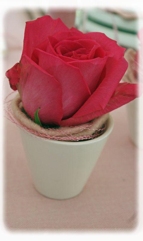 Baptême bapt_me_rose_069_modifi__2