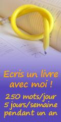 ecris-livre-avec-moi-banniere Bilan et Dédicaces #250words