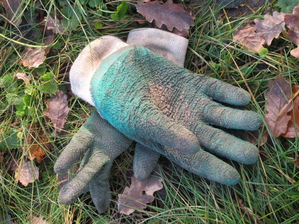 GANTS Coupe courte