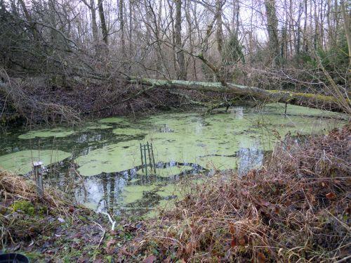 Inondations mare romi 8 jan 102.jpg