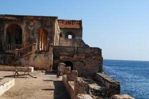 goree8 goree8