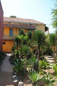 goree4 goree4