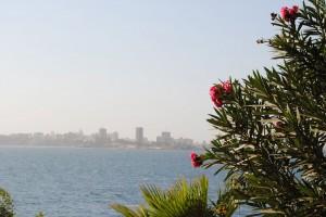 goree6 goree6
