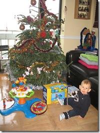 Janvier2011_025b Janvier2011_025b