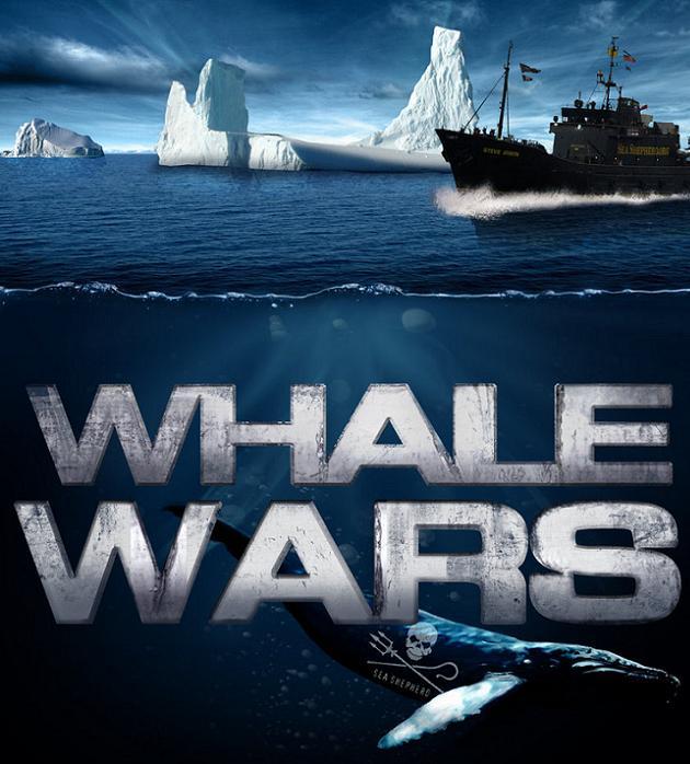 Whale Wars : la bataille pour la baleine a débuté …