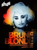 Brune, Blonde ou Rousse, that is THE question! Brune, Blonde ou Rousse, that is THE question!