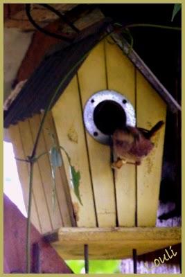 Connaissez-vous l'astuce de récupérer les fils de couture... Connaissez-vous l'astuce de récupérer les fils de couture...