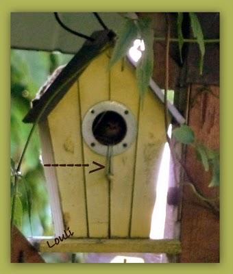 Connaissez-vous l'astuce de récupérer les fils de couture... Connaissez-vous l'astuce de récupérer les fils de couture...