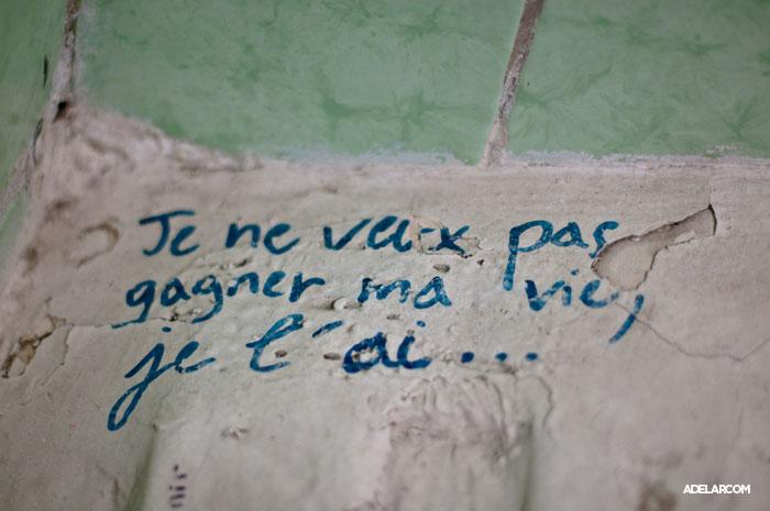 Une vie en cascades http://4.bp.blogspot.com/_txuBTB2__fE/TS3G8fw_MJI/AAAAAAAAOOw/seU-cbY0TQA/s1600/la-vie-adelap.jpg
