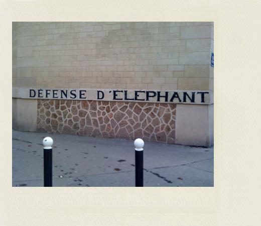 defense-d-elephant.jpg