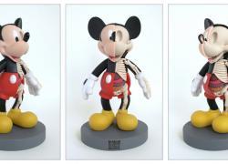 Toons anatomy Toons anatomy