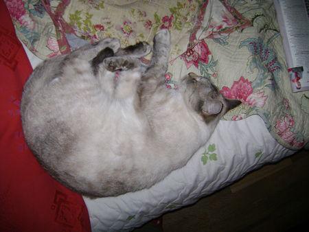 En ce moment la roue tourne ... DSC08153