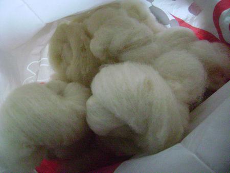 En ce moment la roue tourne ... DSC08177