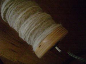 En ce moment la roue tourne ... DSC08178