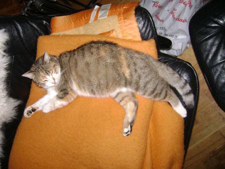 En ce moment la roue tourne ... DSC08152