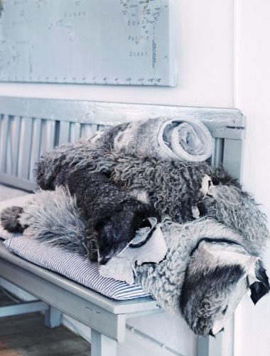 Designer et berger Designer et berger